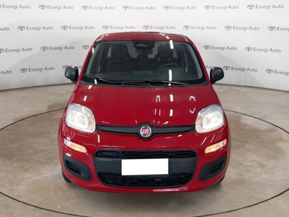 Fiat Panda nuova a Vercelli (2)