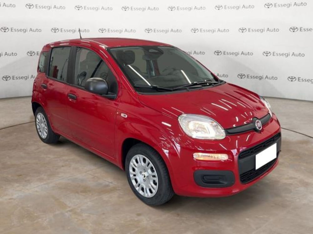 Fiat Panda nuova a Vercelli (3)