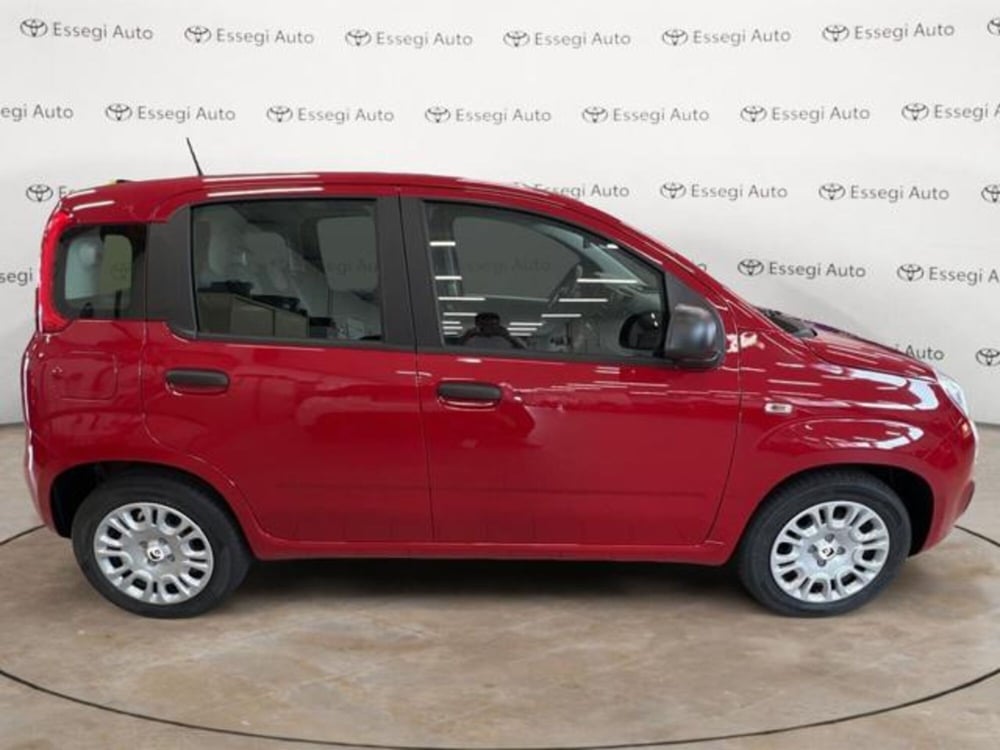 Fiat Panda nuova a Vercelli (4)