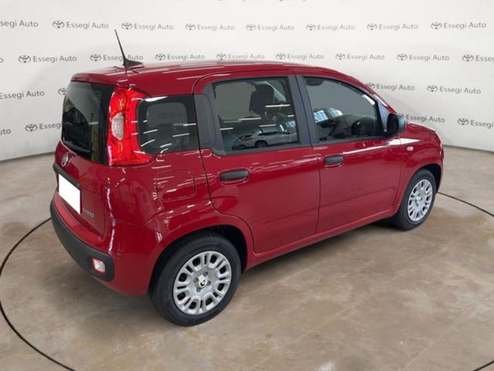 Fiat Panda nuova a Vercelli (5)