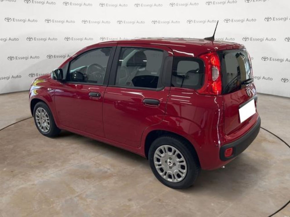 Fiat Panda nuova a Vercelli (7)