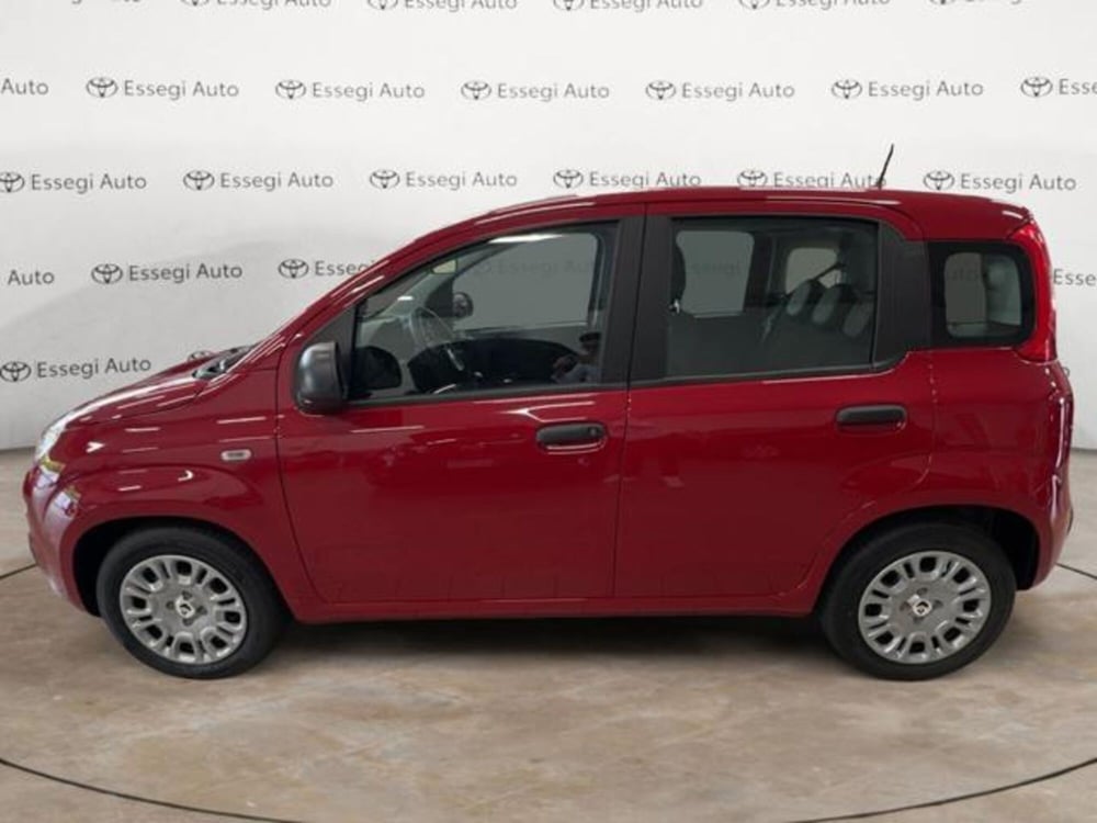 Fiat Panda nuova a Vercelli (8)