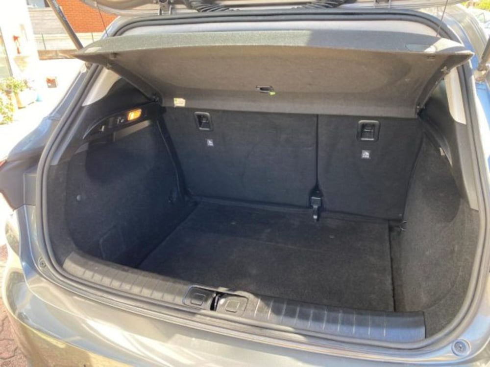 Fiat Tipo usata a Cuneo (18)