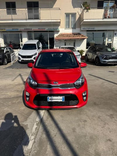 Kia Picanto 1.0 12V 5 porte Cool del 2019 usata a Parete