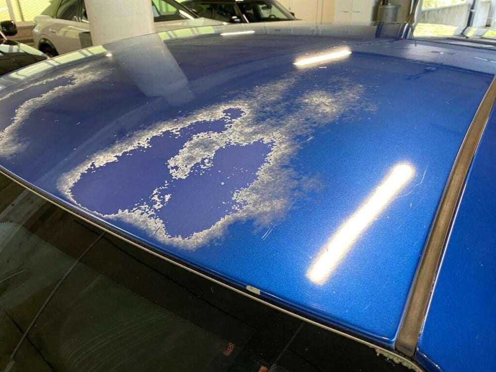 Fiat Punto Evo usata a Torino (14)