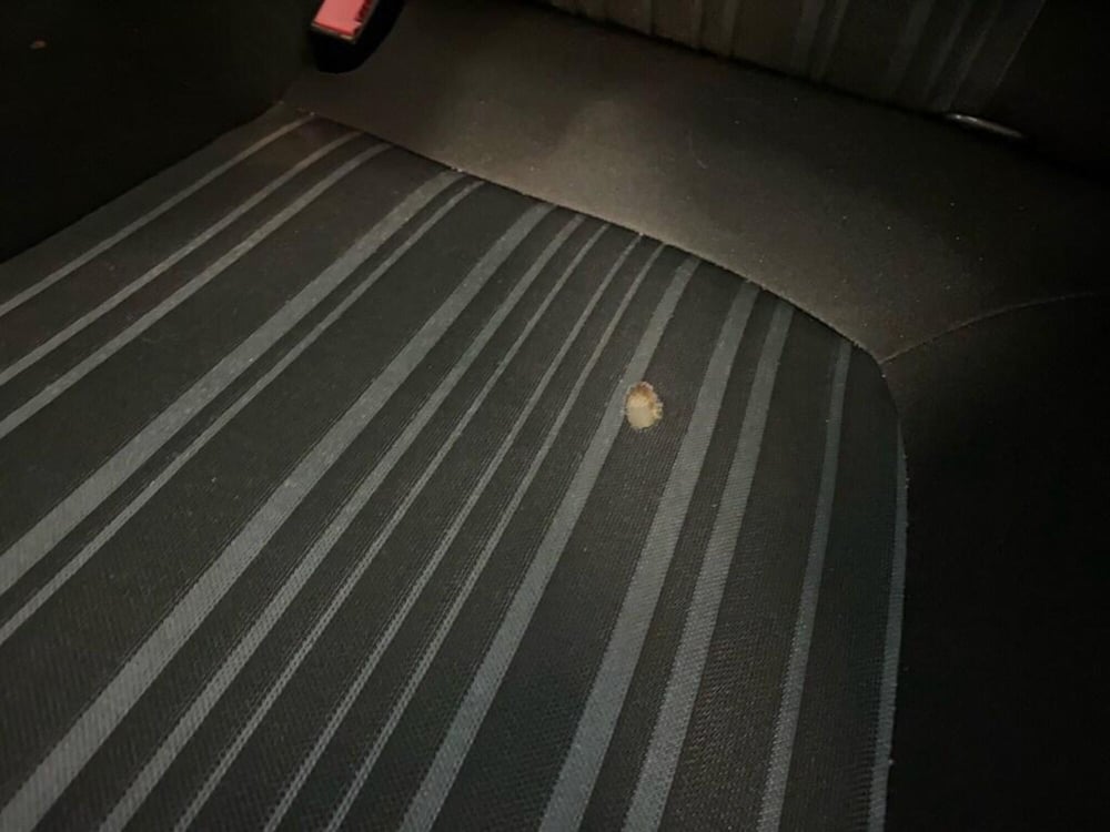 Fiat Punto Evo usata a Torino (15)