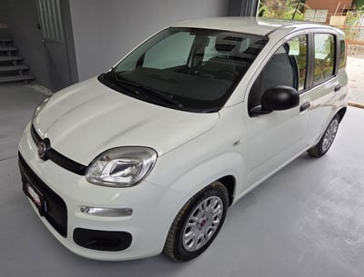 Fiat Panda 1.0 FireFly S&amp;S Hybrid Easy del 2021 usata a Robassomero