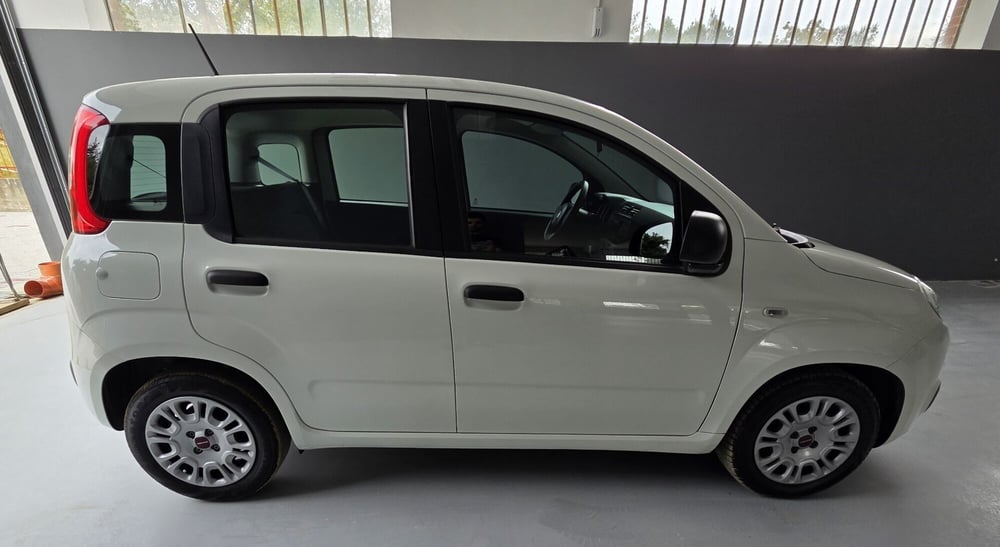 Fiat Panda usata a Torino (11)