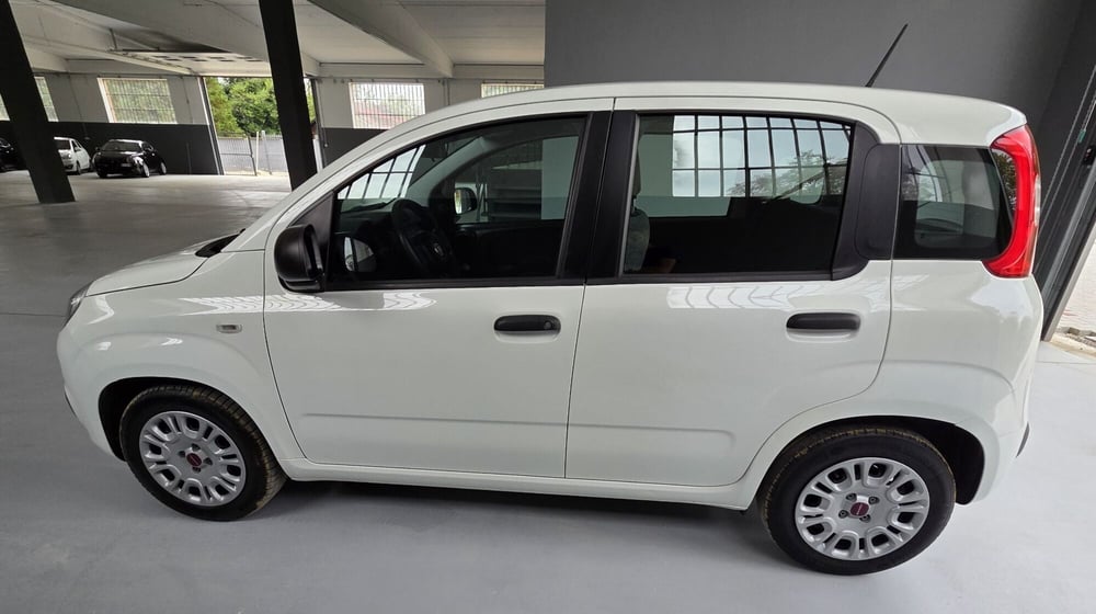 Fiat Panda usata a Torino (9)