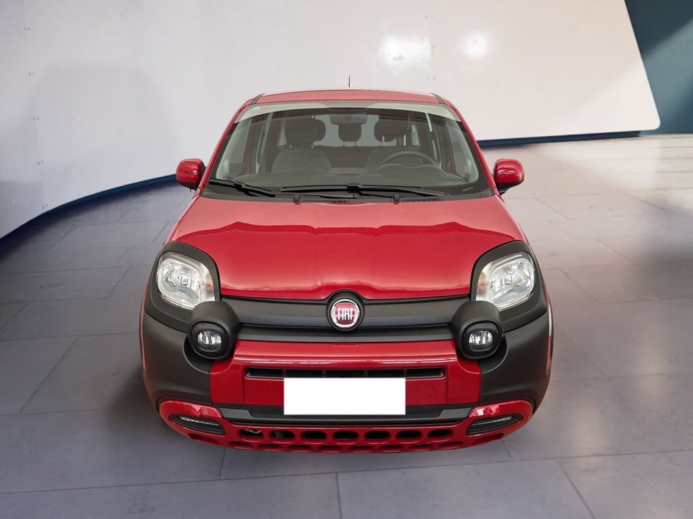Fiat Panda Cross usata a Torino