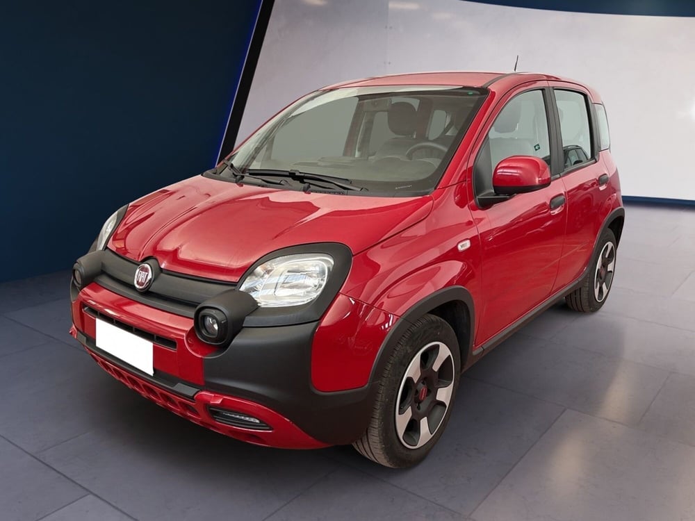 Fiat Panda Cross usata a Torino (2)