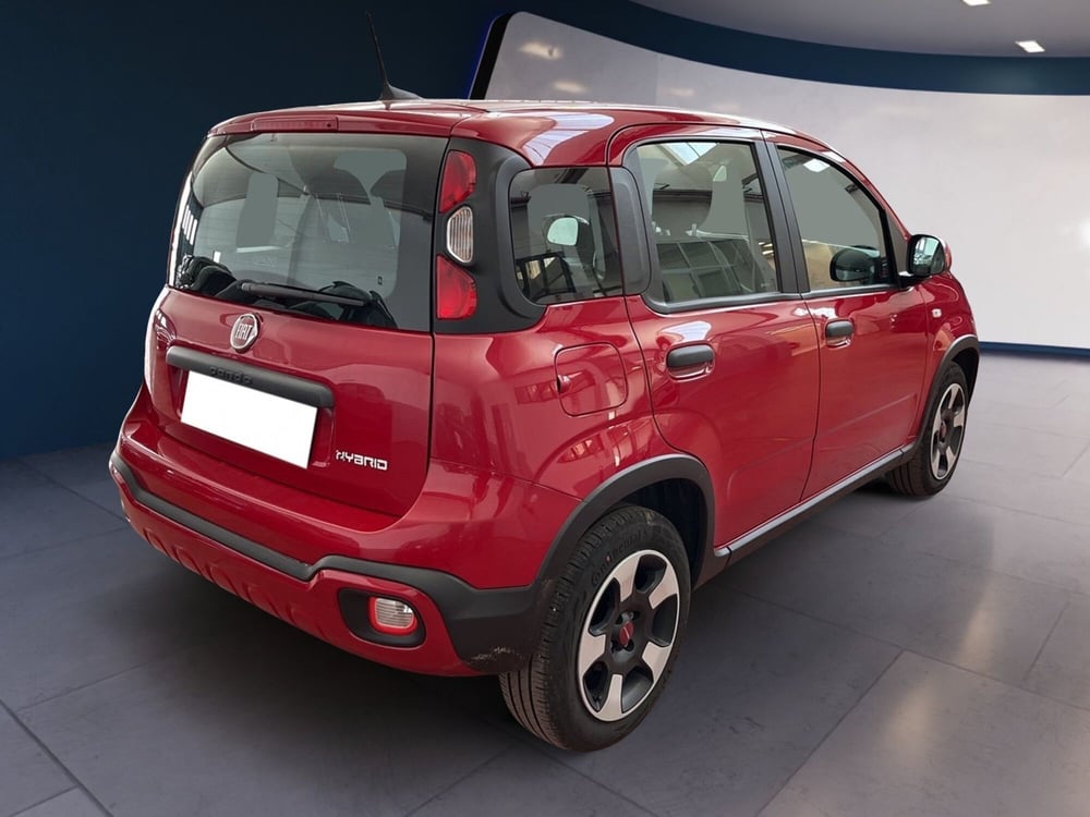 Fiat Panda Cross usata a Torino (4)