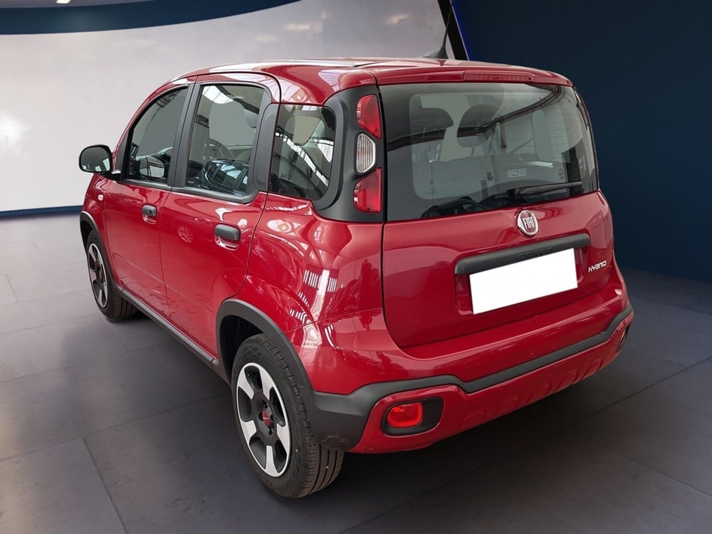 Fiat Panda Cross usata a Torino (5)