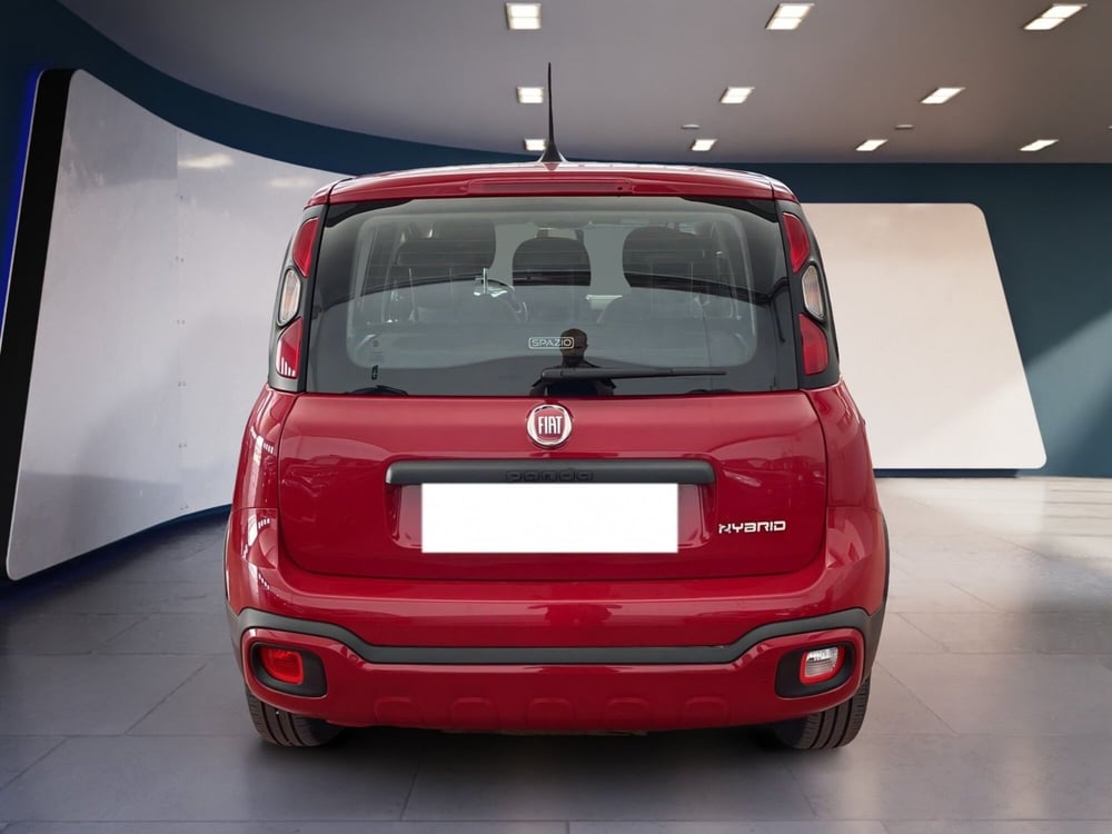 Fiat Panda Cross usata a Torino (6)
