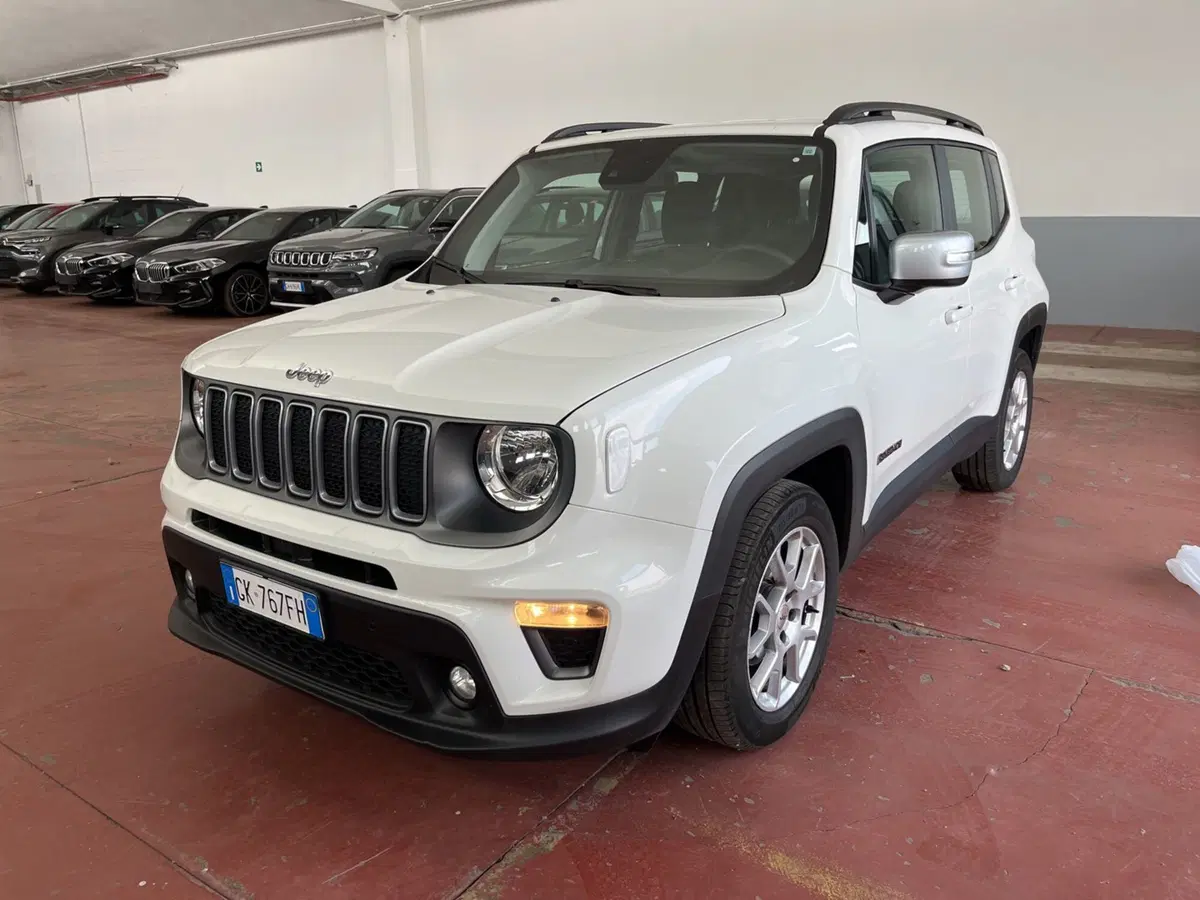 Jeep Renegade usata a Torino (2)