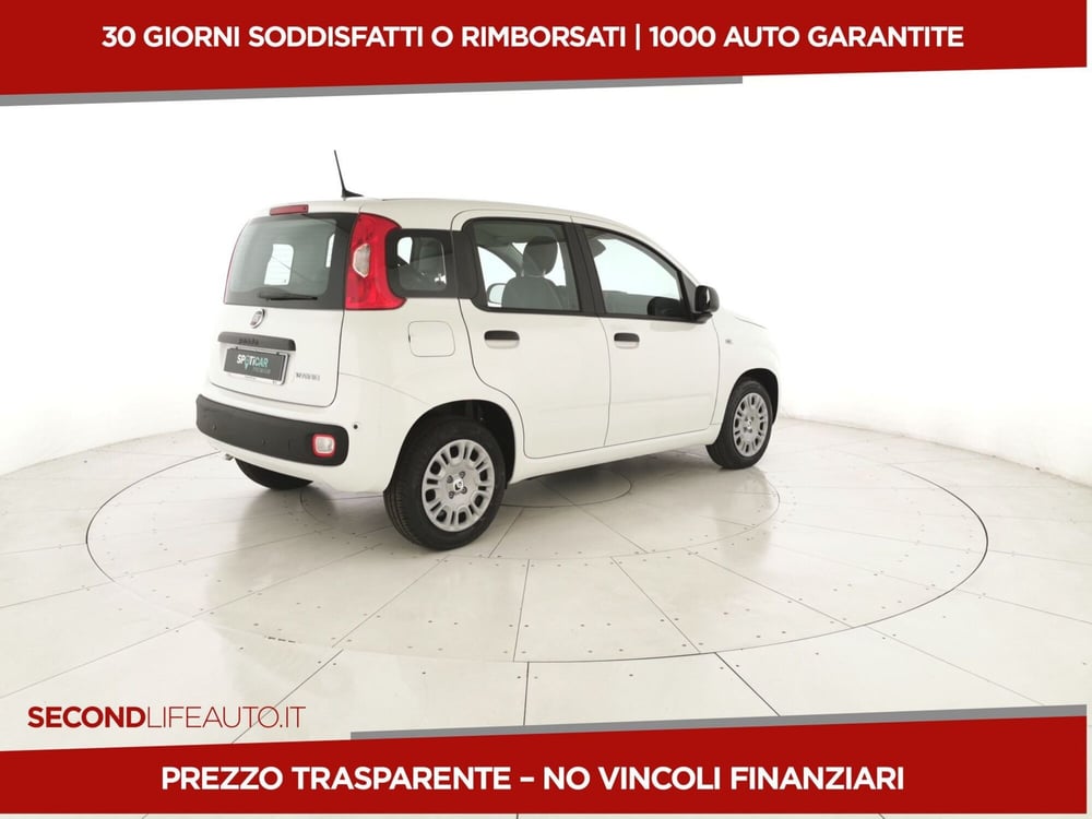 Fiat Panda nuova a Chieti (3)