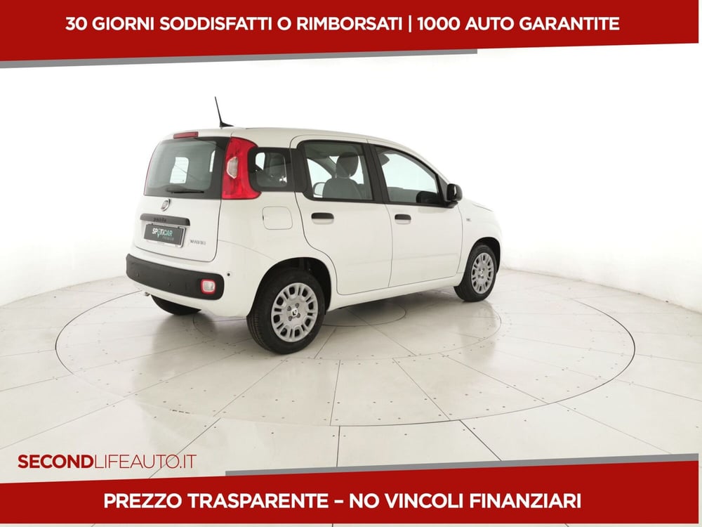 Fiat Panda nuova a Chieti (3)
