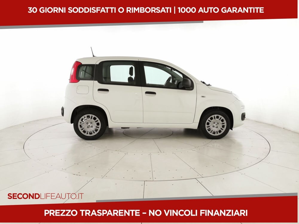 Fiat Panda nuova a Chieti (4)