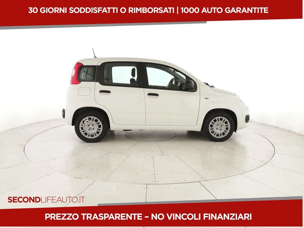 Fiat Panda nuova a Chieti (4)