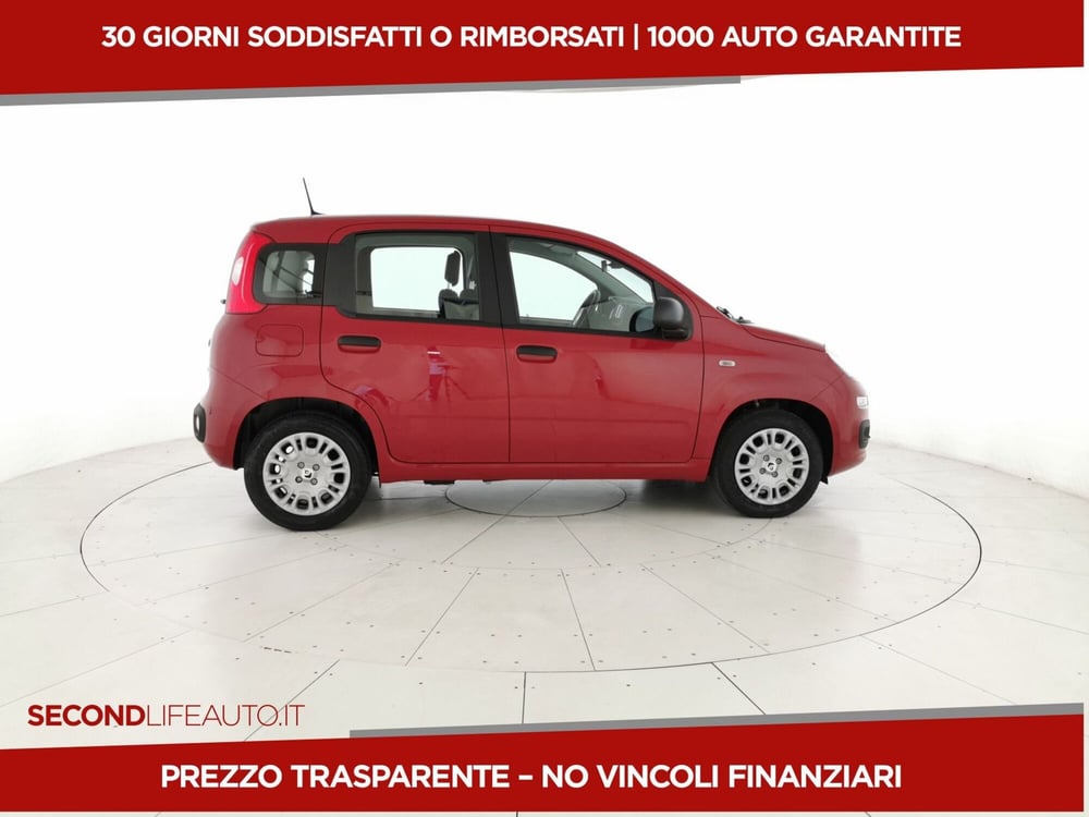 Fiat Panda nuova a Chieti (4)