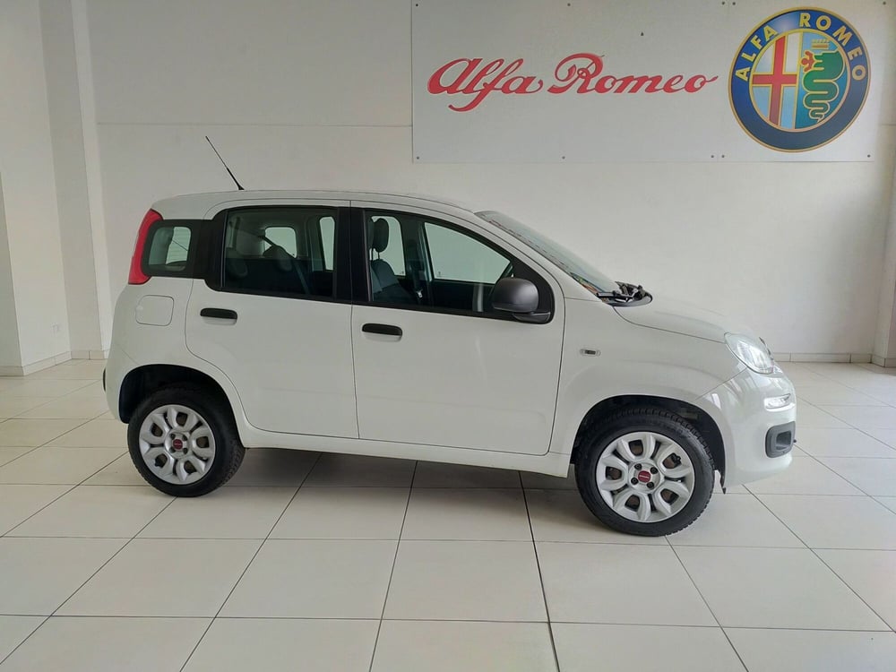 Fiat Panda usata a Reggio Emilia (4)