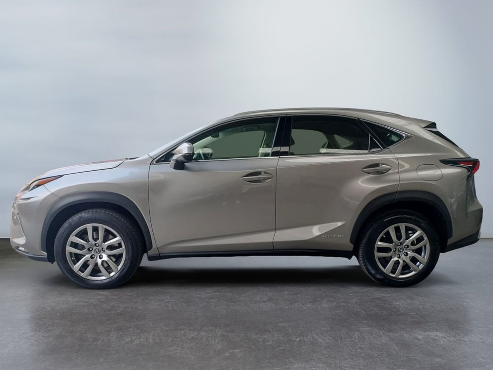 Lexus NX usata a Modena (3)