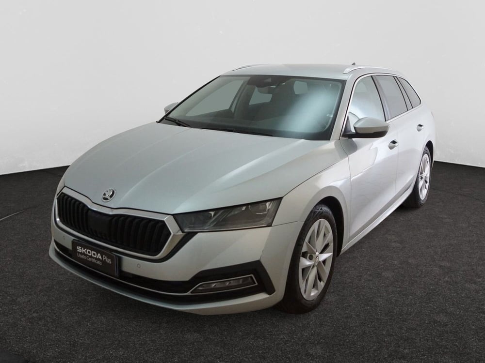 Skoda Octavia Station Wagon usata a Torino (3)