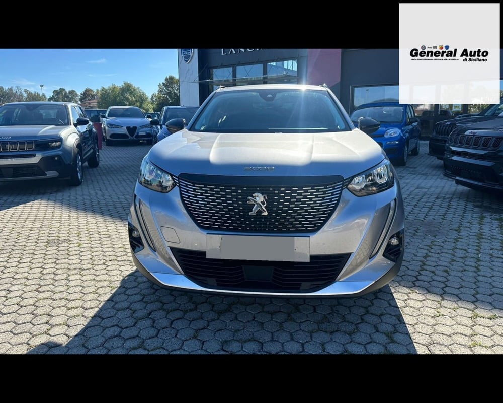 Peugeot 2008 usata a Lucca (2)