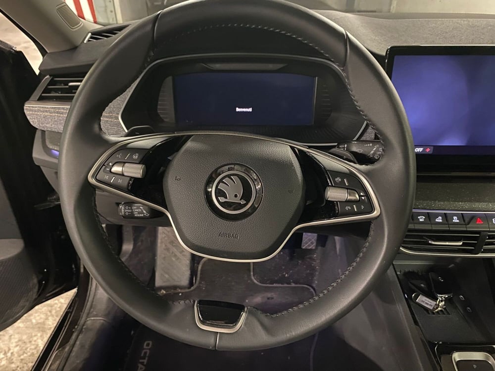 Skoda Octavia Station Wagon usata a Avellino (19)