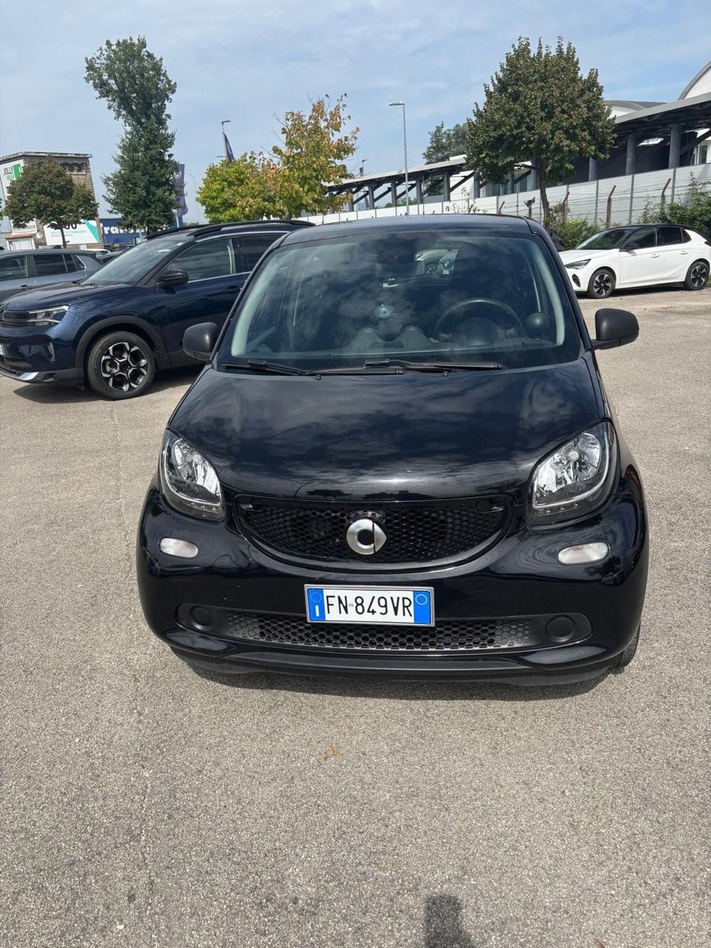 smart forfour usata a Frosinone (2)