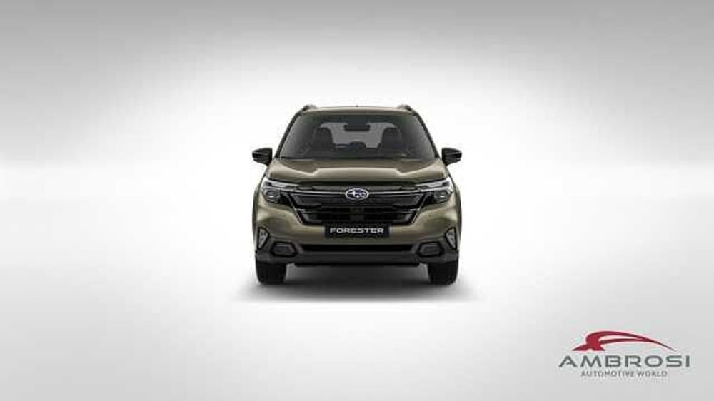 Subaru Forester nuova a Perugia (8)