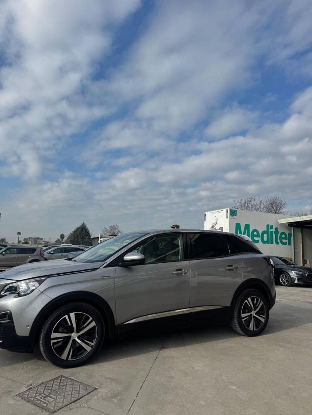 Peugeot 3008 usata a Caserta (2)
