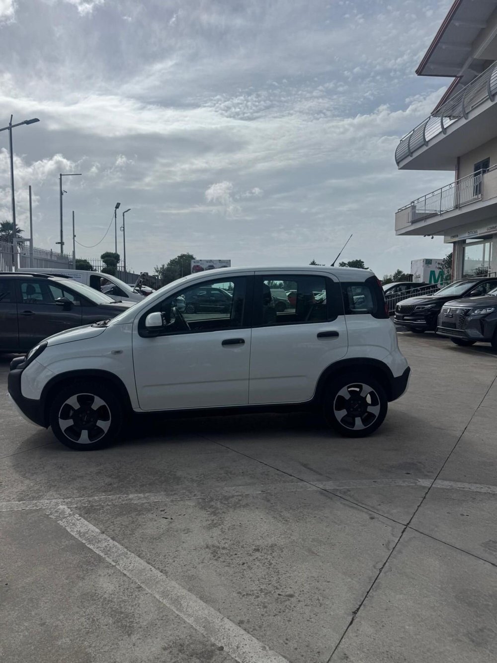 Fiat Panda usata a Caserta (3)