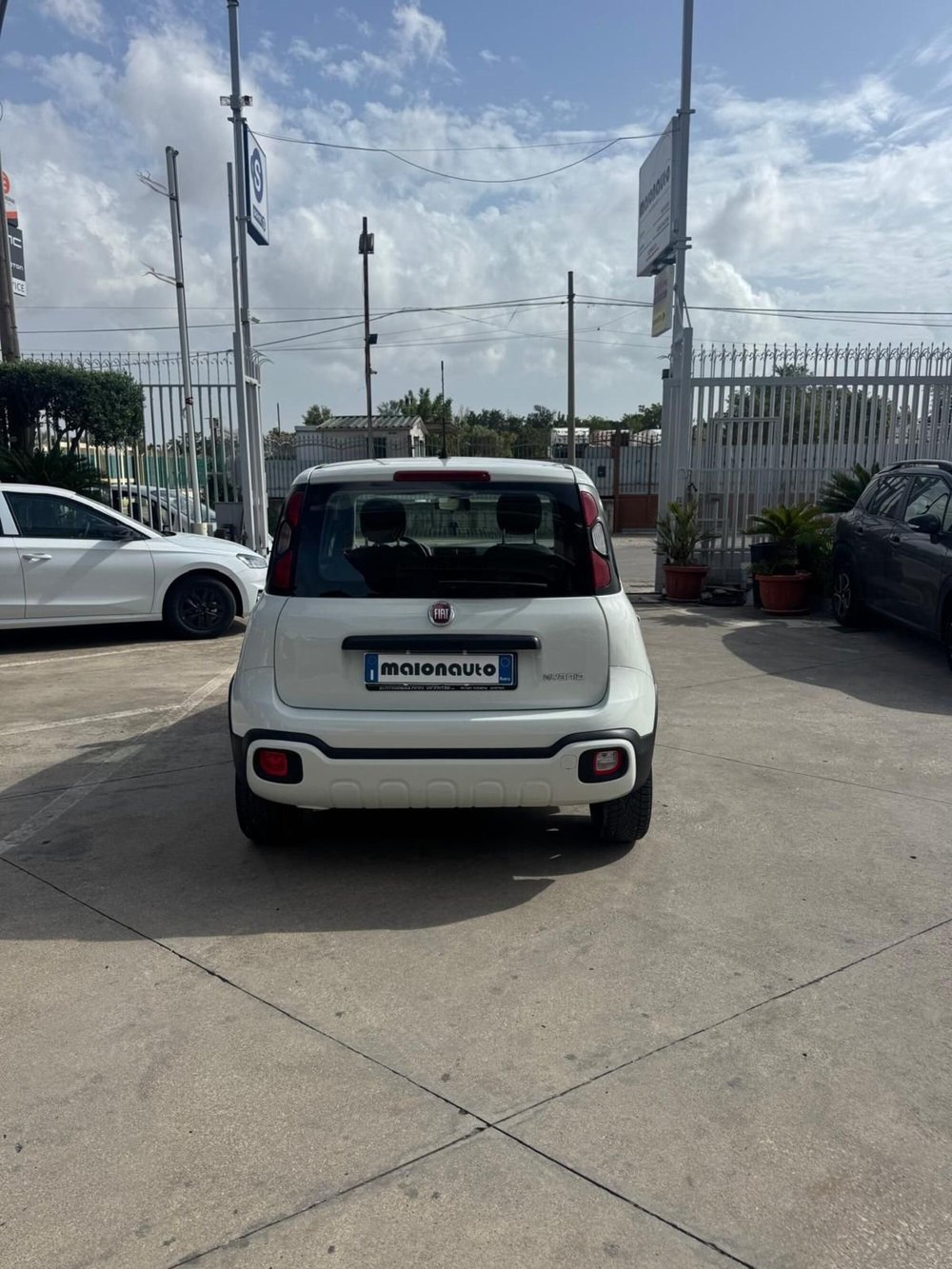 Fiat Panda usata a Caserta (4)