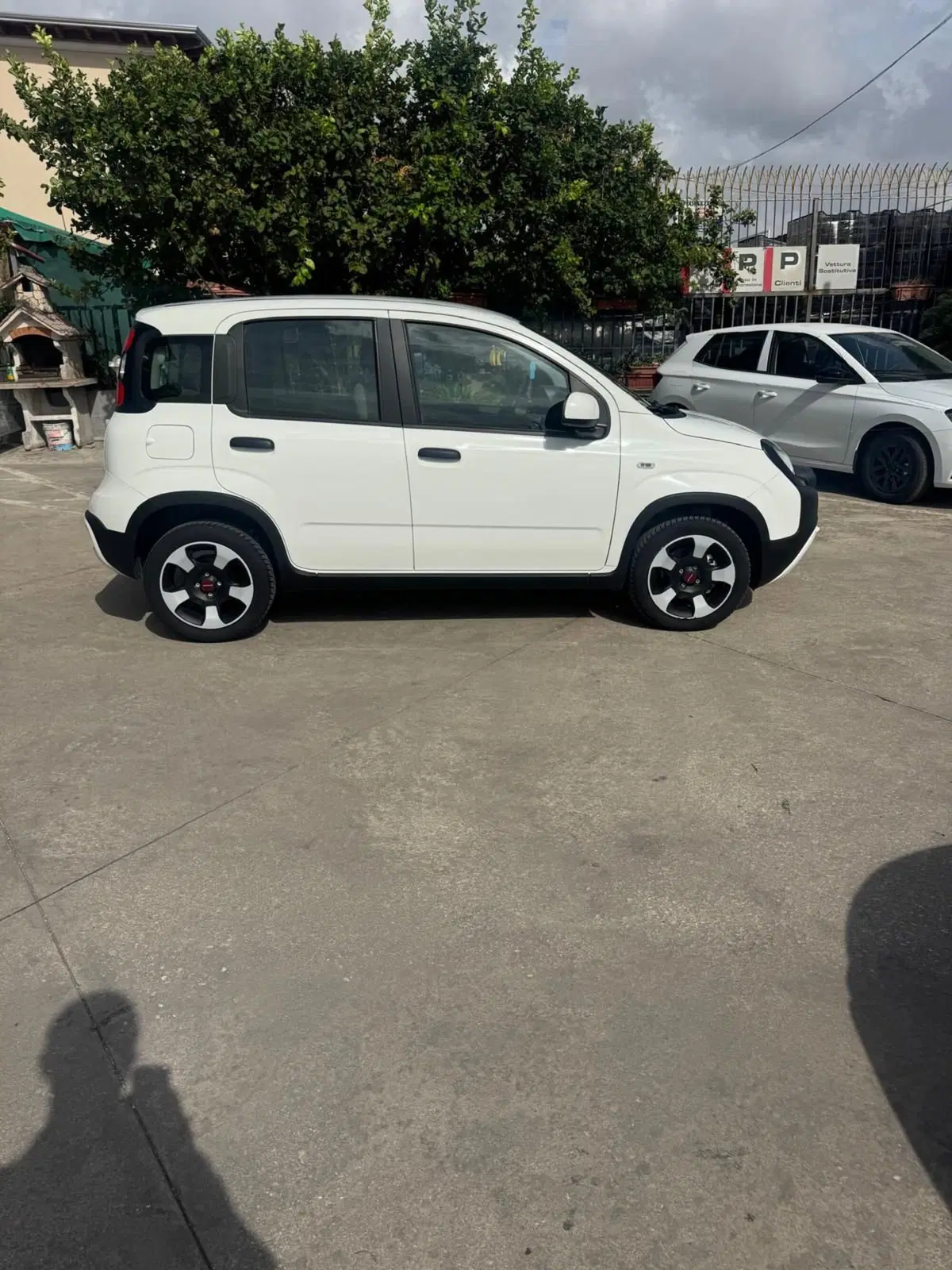 Fiat Panda usata a Caserta (7)
