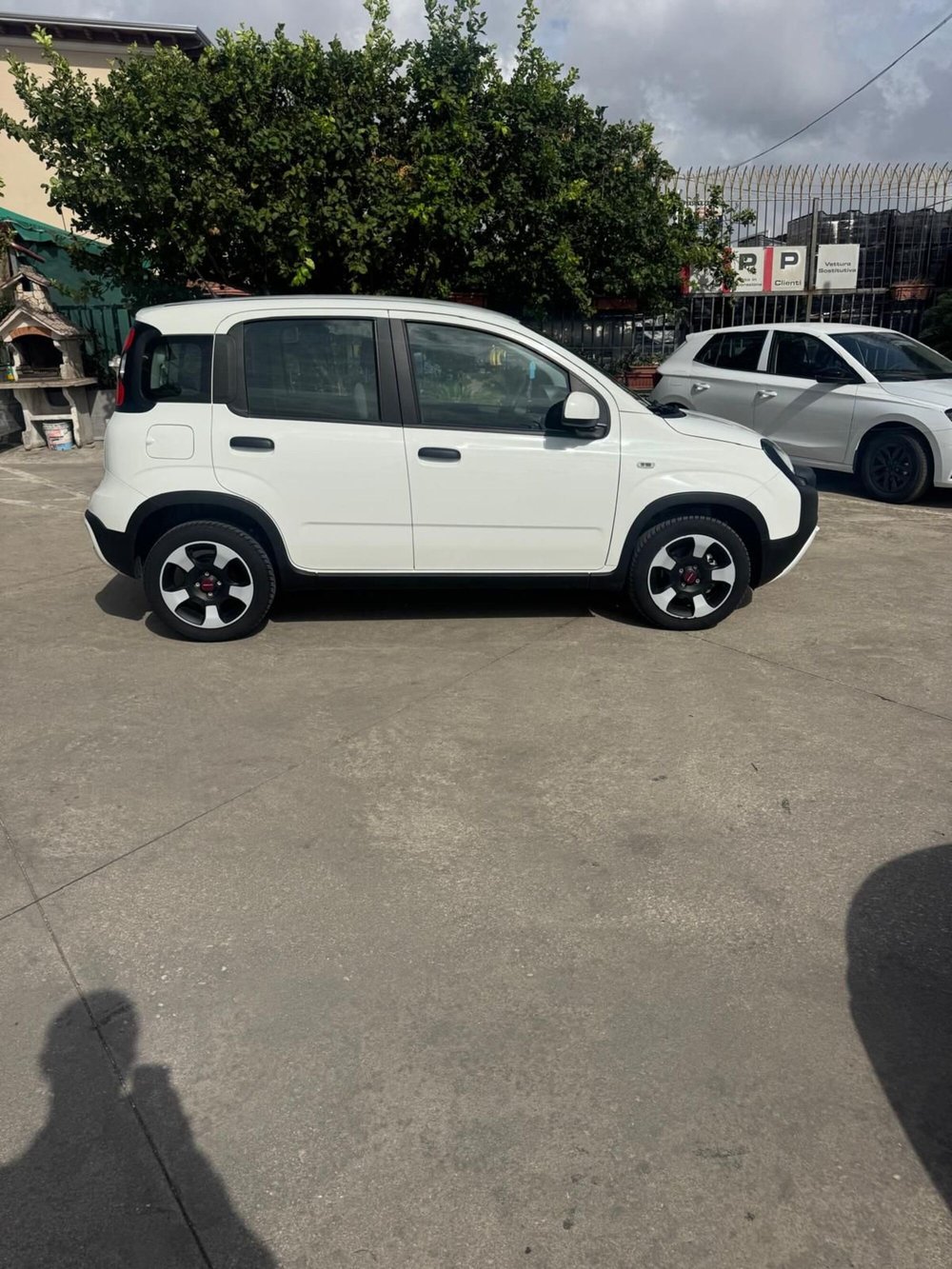 Fiat Panda usata a Caserta (7)