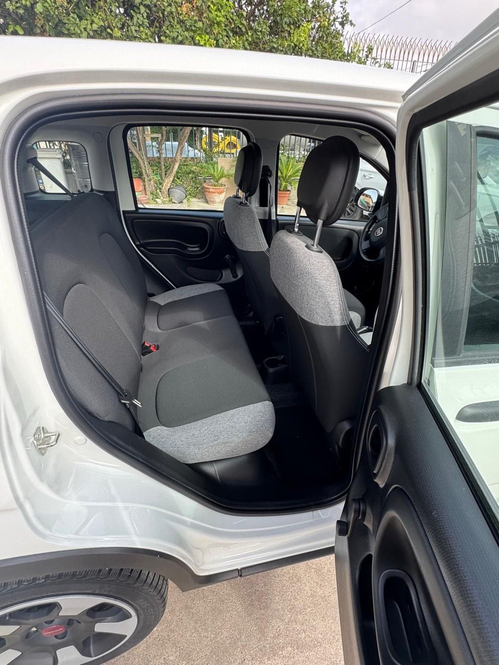 Fiat Panda usata a Caserta (8)