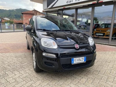 Fiat Panda 1.2 Easy del 2017 usata a Boves