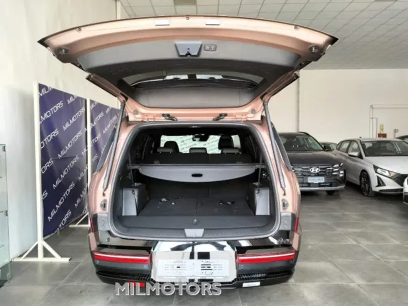 Hyundai Santa Fe usata a Messina (19)