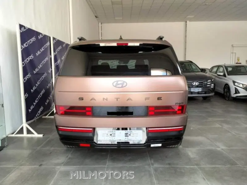 Hyundai Santa Fe usata a Messina (7)