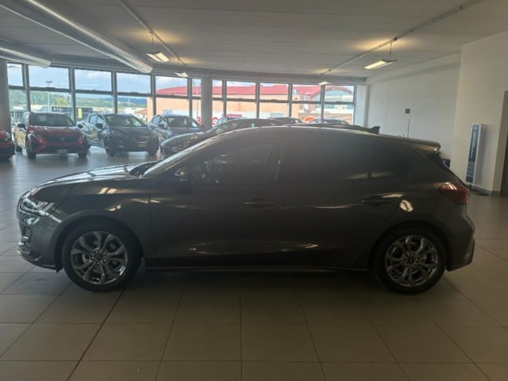 Ford Focus usata a Cuneo (4)