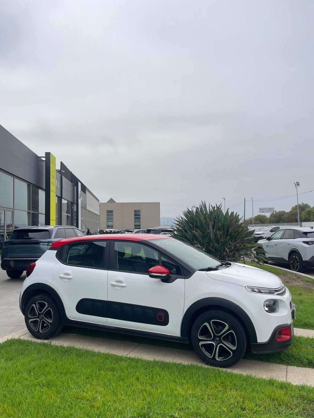 Citroen C3 usata a Sassari (6)