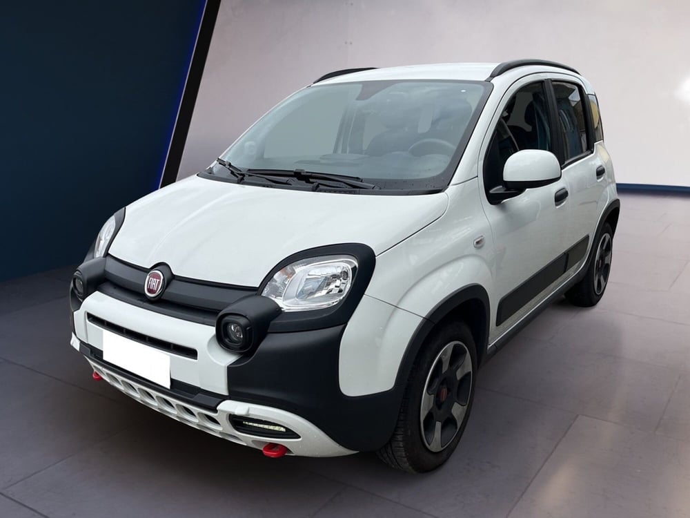 Fiat Panda Cross usata a Torino (2)