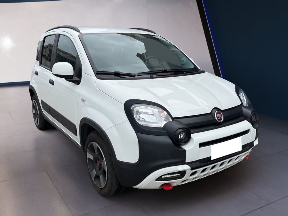 Fiat Panda Cross usata a Torino (3)