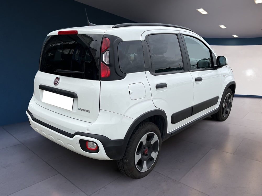 Fiat Panda Cross usata a Torino (4)