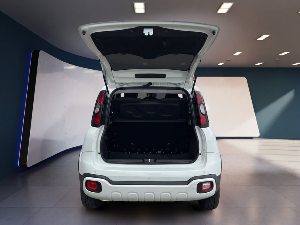 Fiat Panda Cross usata a Torino (7)