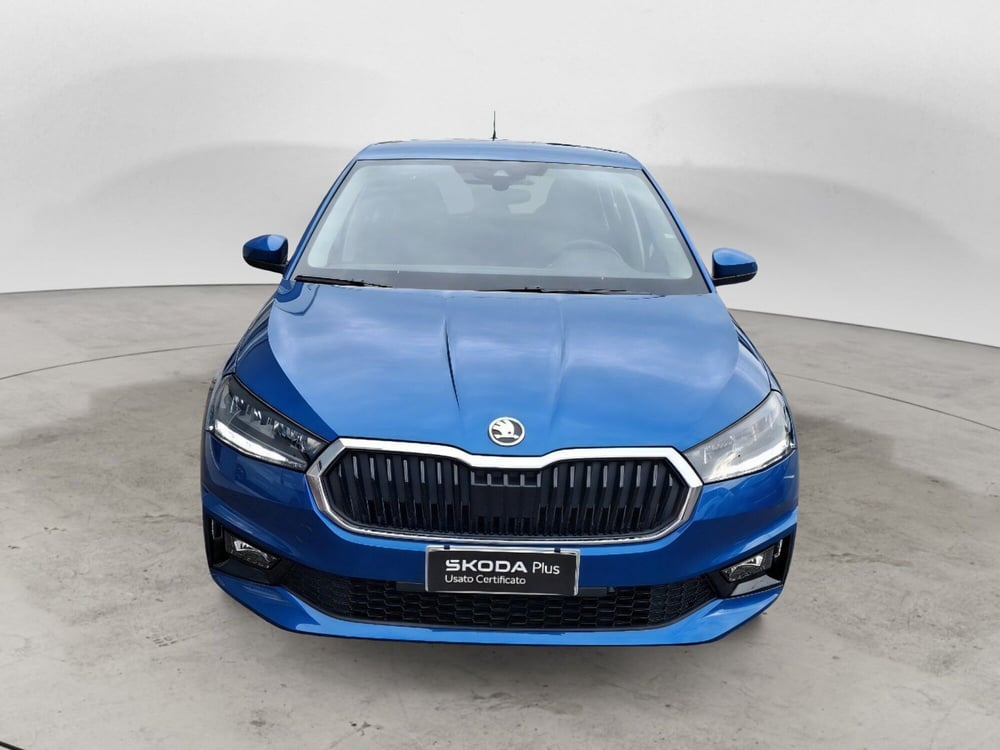 Skoda Fabia usata a Ancona (5)