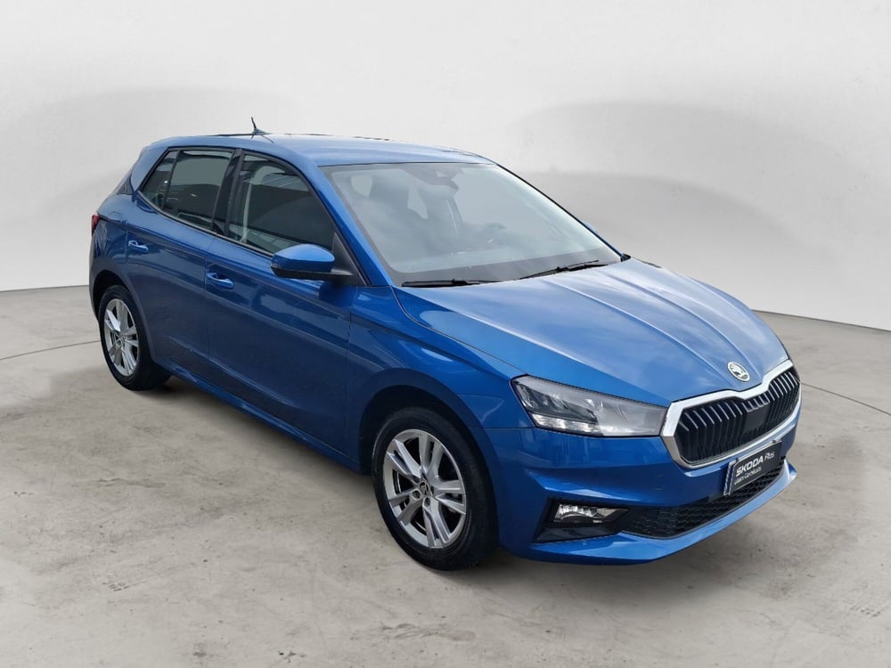 Skoda Fabia usata a Ancona (8)