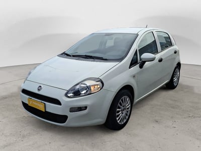 Fiat Punto 1.2 8V 5 porte Street del 2016 usata a Ancona