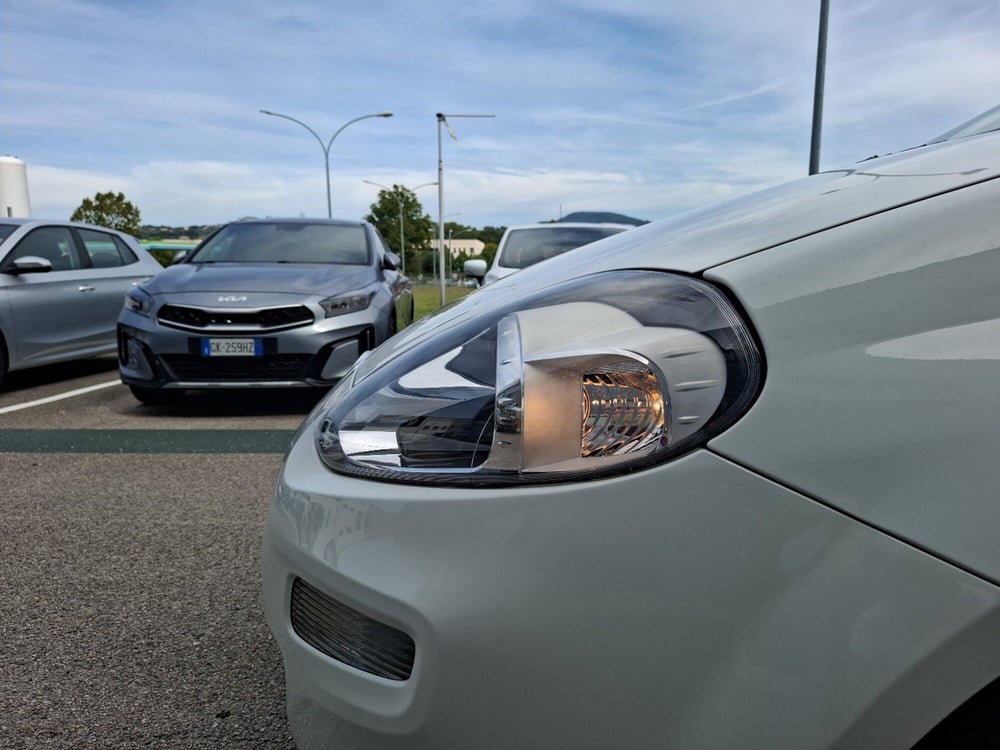 Fiat Punto usata a Ancona (12)
